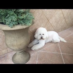 Meet your Posher, Flora